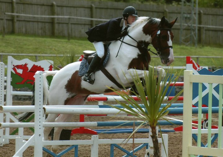VICTOR VAN ERPEKOM - COLOURED CHAPS GRADED STALLION